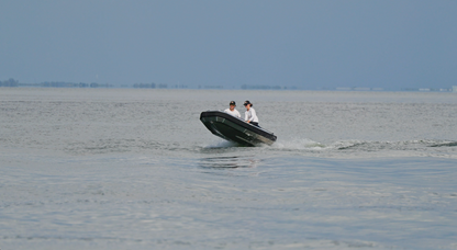 GoDu 8.5